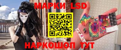 стафф Донецк