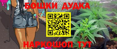 стафф Донецк