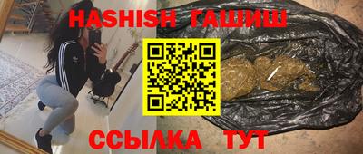 стафф Донецк