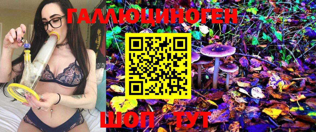 Галлюциногенные грибы Psilocybine cubensis  Псилоцибиновые грибы Cubensis  Кизилюрт  Вход с VPN 